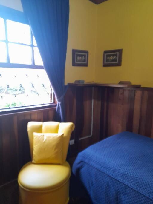 Refugio Yellow Star *